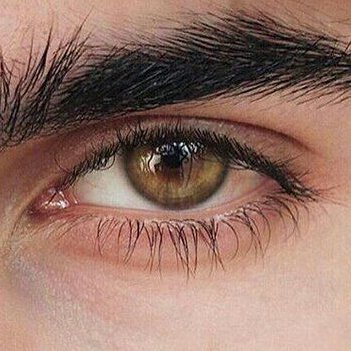 kikealmeida's profile picture. 🏴󠁧󠁢󠁷󠁬󠁳󠁿 Brief Haze 🏴󠁭󠁸󠁹󠁵󠁣󠁿