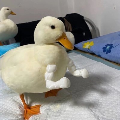 Damn it 🥯🎠🍐さんのプロフィール画像