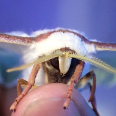 bYwNG6grZluFDNp's profile picture. メインアカウントのパスワード忘れたからこれからはこっちにしか投稿しない。            松本市→新潟市