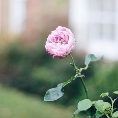 ولسوف يعطيك ربك فترضى 🌸'