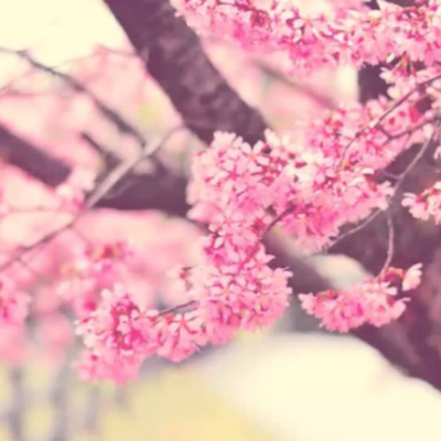 dalgonalatte4's profile picture. 