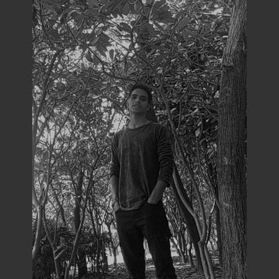 Mustafa80870208's profile picture. Amity University Lucknow
BCA + MCA  Student
