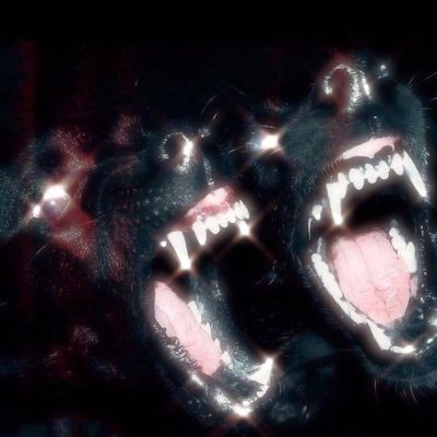 koipuppo's profile picture. 22 He/Him🏳️‍🌈