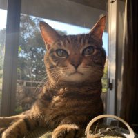 Ohno Tetsuo (@tetsuoohno) 's Twitter Profile