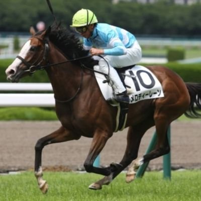 競馬🐎🫰中央・南関4🌵コンピ研究がメイン・基本ワイドで勝負!📑🌵時々ボヤく🙄今まで買ってみたソフトの予想をアップ!✨コンピが導く予想馬番を個人的に出して検証なので文句は🙅ですw📍BO少額でヘビーに!📈📋出目も考察侮れない!・・今はソフトの検証時々🎯フォローありがとうございます😌
