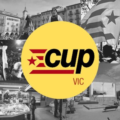 cupvic Profile Picture