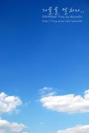 whreeewt's profile picture. 