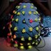 Brain&BehaviorLab (@brainandbehlab) Twitter profile photo Brain&BehaviorLab (@brainandbehlab) Twitter profile photo