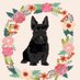 ELCERRITOLIAISON🐾 (@cerritoliaison) Twitter profile photo ELCERRITOLIAISON🐾 (@cerritoliaison) Twitter profile photo
