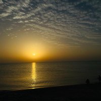 notyourusual (@momrai82) 's Twitter Profile