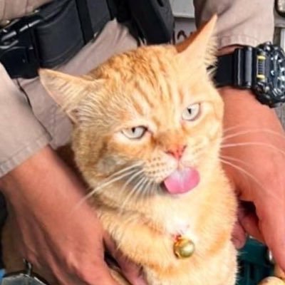 ruybunt Profile Picture