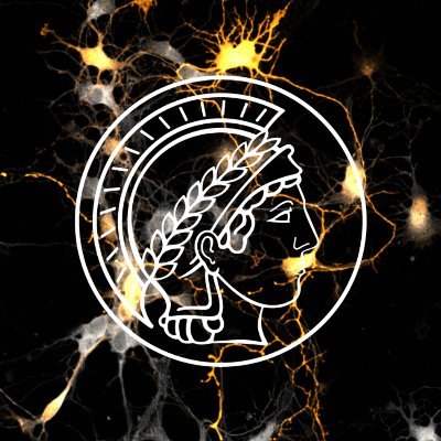 @mpi_mr_hd