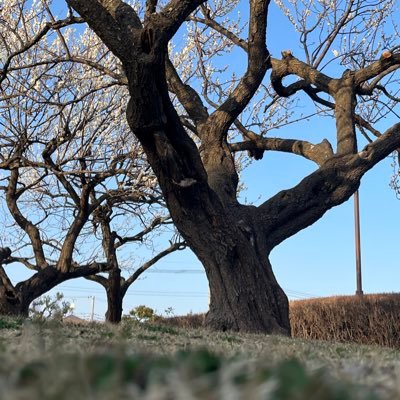 今はいかの姿あげを食べたいです/あなたの通知をうるさくします/嫌だと思ったら言ってください/INTP-T