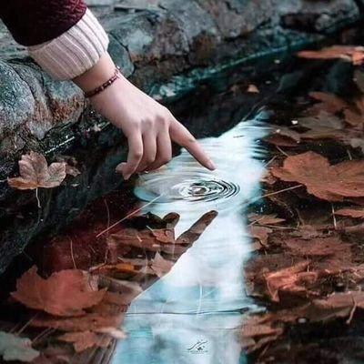 windlme's profile picture. نحن نجتاز الأيام بلطف الله و رحمته