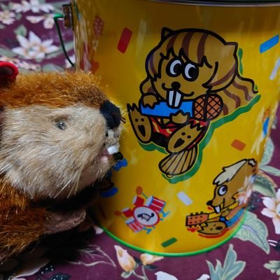 ぶーやん様 渋谷 