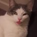 TheDisabilityEnthusiast (@twitchyspoonie) Twitter profile photo TheDisabilityEnthusiast (@twitchyspoonie) Twitter profile photo