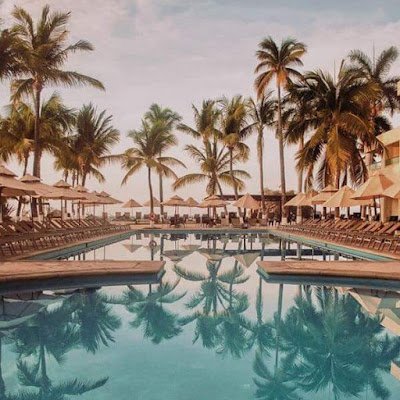 AlexV29383294's profile picture. 