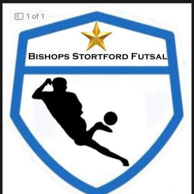 Futsal Club for U12-U17’s boys & girls in Bishops Stortford - bsfutsal@hotmail.com