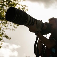 Quentin Bertrand (@bertrandquentin) 's Twitter Profile Photo