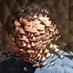 Saverio Alberini (@savesmalltrees) Twitter profile photo Saverio Alberini (@savesmalltrees) Twitter profile photo