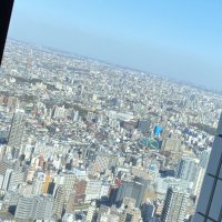 U (@torihikii_11) Twitter profile photo