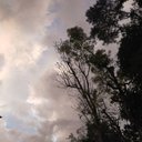 Blanc - @_Hunter_Blank_ - Twitter