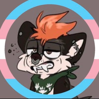 I post not much | he/him | 21 | I am a mix between a raccoon and hyena. | pfp @0KingKitsune0 and banner by @Arctic_Amethyst | TRANS RIGHTS 🏳️‍⚧️| Trans ally |