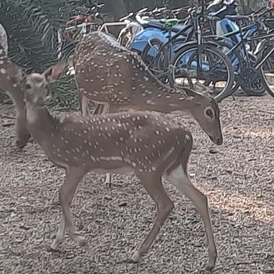 Gr25Gayathrir's profile picture. Tweets are my general opinion