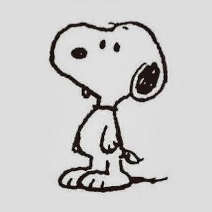 b6UPS4N6O7Hed9K's profile picture. 