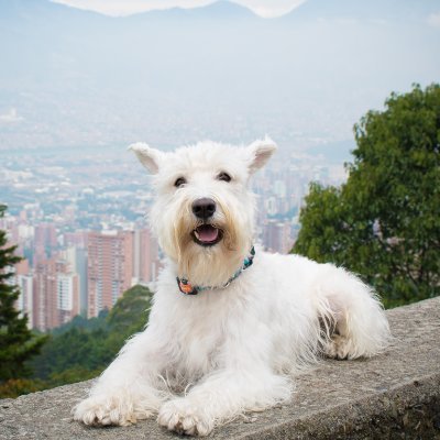 Harry_124's profile picture. 