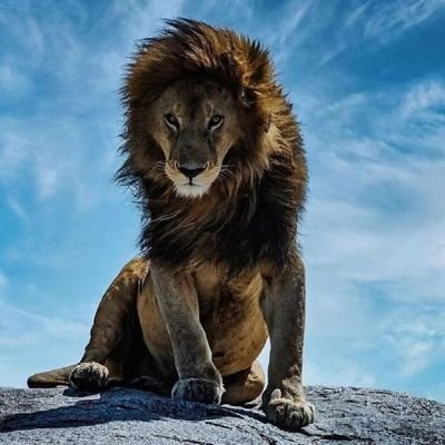 Reckless_George's profile picture. Professional Statistics & Technical Analysis Punter

🧑‍💻⚽️🏀🥎🏒

A man's worth is no greater than the worth of his ambitions.
~Marcus Aurelius.