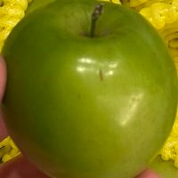 農業太郎 (@tnh1iu) 's Twitter Profile