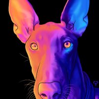 PabloRockseyMercedes (@pablo_rocksey_m) 's Twitter Profile
