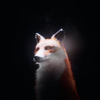 the10thart Profile