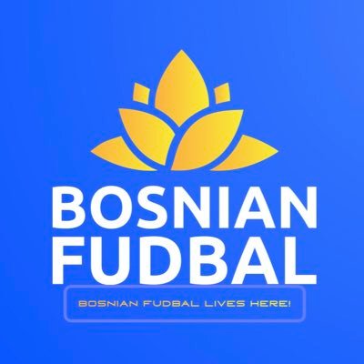 Bosnian Premier League/Bosnian National Team Info