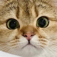 ลอปอ. (@hbker07) 's Twitter Profile Photo ลอปอ. (@hbker07) 's Twitter Profile Photo