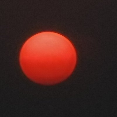 Davidee77177392's profile picture. 