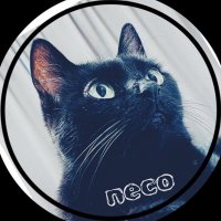 neco_♮猫だからわからない(@neco_chan_) 's Twitter Profile Photo