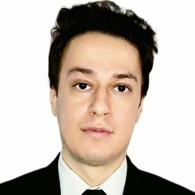 Expert in International Trade & Investment Law, Public-Private Partnership (PPP), Nuclear Law, IP | Arbitrator| Iranian Lawyer,
🚀Founder of Meshkat Law