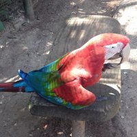 Lidia Bueno (@lidiabueno_b) 's Twitter Profile