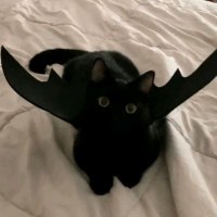 啊于 (@sunset0448) 's Twitter Profile