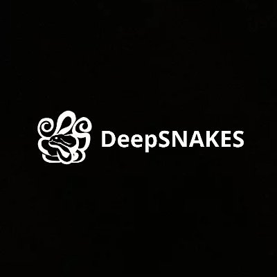 DeepSNAKES