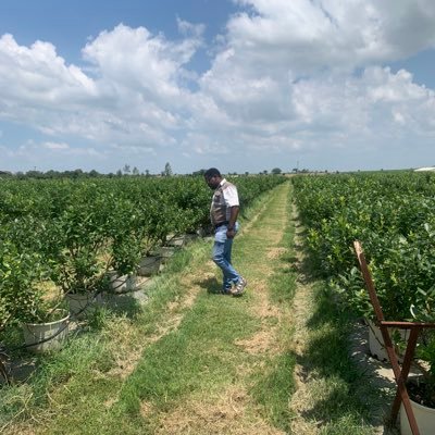AgricEconomist transitioning into a DevelopmentEconomist #Agriculture #MSD #Investment #Economics #Agro ate.Views are my own & RTs don’t imply endorsement
