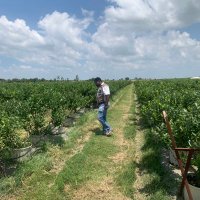 Rodney K (@agriceconomist) 's Twitter Profile