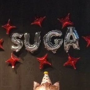 ariko_ban15's profile picture. 💜 BTS 💜 　7   💜 7人が大好き🐱ミンユンギ🐱
ARMYからのフォロー大歓迎😊
気ままにRT多め　
ハムスター🐹キンクマ   ラッコ🦦ꕀ東海オンエア