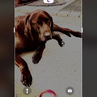 Marshall Bock (@mbock2026) 's Twitter Profile