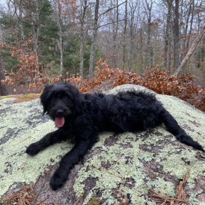 JettyWoo's profile picture. 