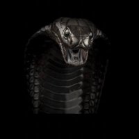 Bryan Master (@bryanmaster2020) 's Twitter Profile