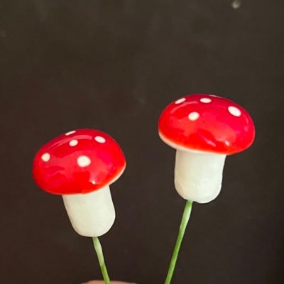 Welcome to The British Mycologist, the ultimate destination for learning how to grow your own mushrooms at home.