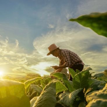 Carbon Farming in de Praktijk: PPS onderzoeksproject voor koolstofvastlegging in de bodem en de valorisatie ervan.